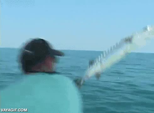 barco,mar,salto,saltar,pescado,pez,barracuda
