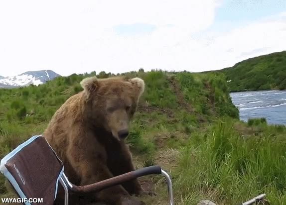 imagina el susto,pescar,pescador,pardo,oso,menudo espontaneo,pedazo de zarpas