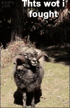 atacar,saco de boxeo,paliza,embestida,cabezazo,cornada,carnero