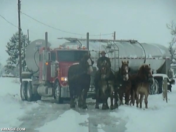 amish,carro,caballos,rescatar,sacar,camion cisterna,tracci&oacute;n,atascado