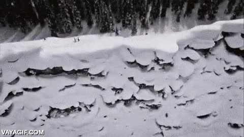 monta&ntilde;a,nieve,nevada,&aacute;rboles,perspectiva,enga&ntilde;ar,brain explode