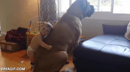 notese la iron&iacute;a,pedazo de perro o que ni&ntilde;o m&aacute;s peque&ntilde;o,abrazar,perrito,abrazo,tierno hasta vomitar arcoiris