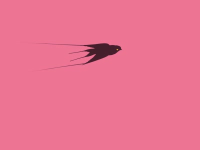 animacion,volar,golondrina,vuelo,colores