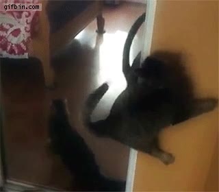 pared,de boca,como si no hubiera pasado nada,espejo,de morros,disimular