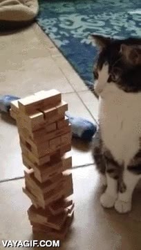 rage quit,tirar,mirar,gato,apilar,torre,jugar,jenga