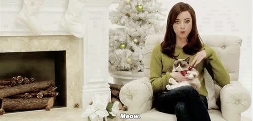 muy maligno,humana,acariciar,gato,grumpy cat