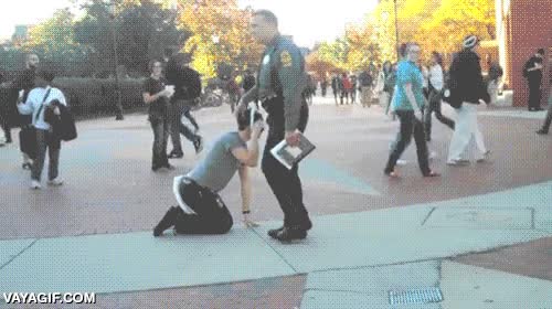 mejor dejarlo al pobre,seguridad,guarda,vigilante,disfrazado,gatito,loco,igual es polic&iacute;a