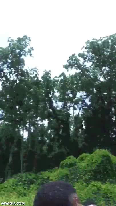 soltar,paloma,infarto,pues no ha llegado muy lejos,susto,funeral,fail