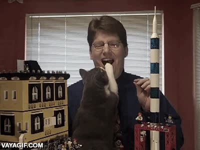 meter la pata,hacer callar,en la boca,pata,gato,lego