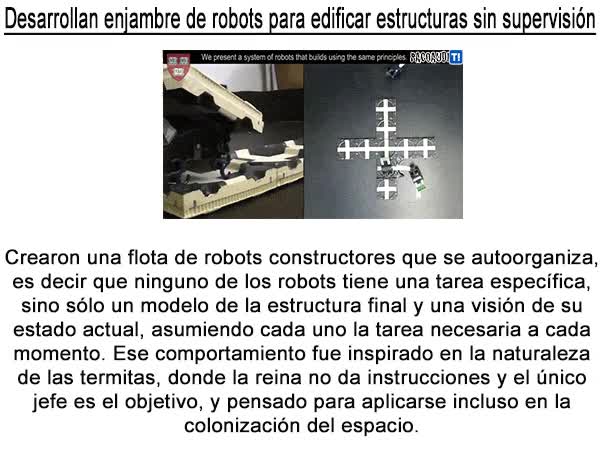 sin supervision,estructuras,edificar,robots,enjambre,tecnologia,termitas