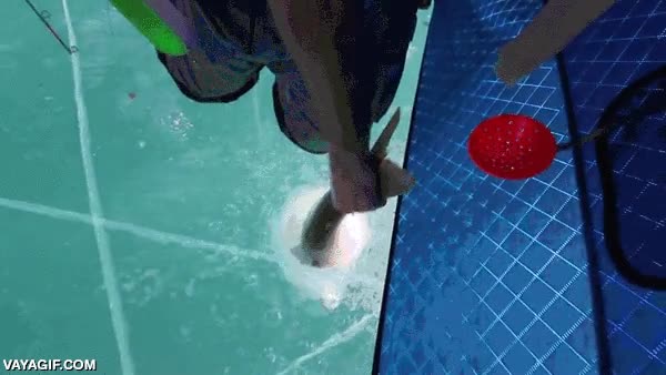 lago,trucha,los peces van atontados por el fr&iacute;o,agujero en el hielo,pescar,pescador
