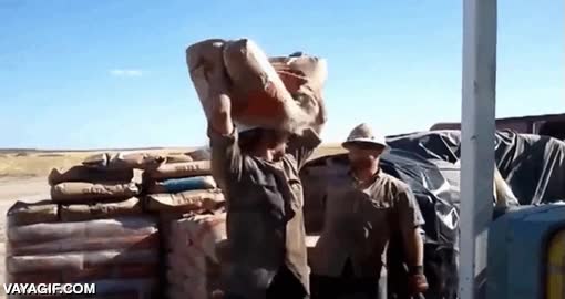 de principiantes,de novatos,broma,caer,cemento,romper,rajar,saco,llevar,constructores