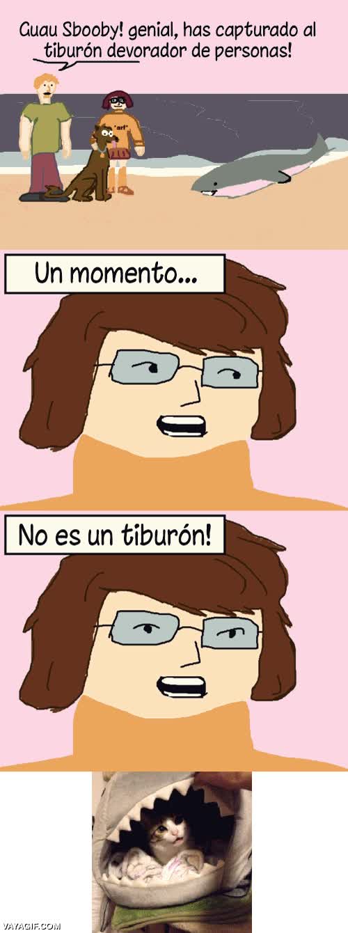 devorador de personas,peluche,gatito,tibur&oacute;n,gato,scooby-doo,velma