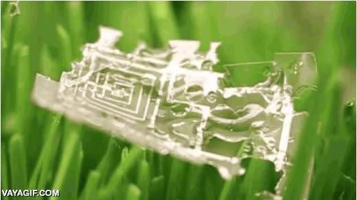 deshacerse,agua,biodegradable,electrico,circuito,ecologia