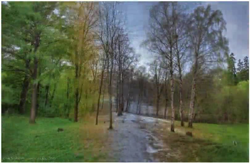 timelapse,recreaci&oacute;n,estaciones,arboles,jardin,fotografo