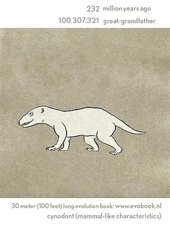 evoluci&oacute;n,humanidad,humanos,hacia atr&aacute;s,regresiva