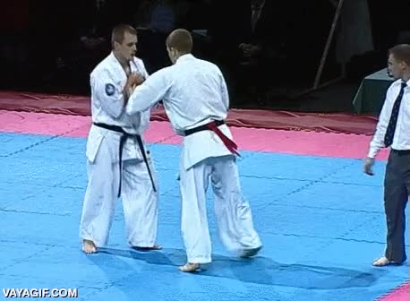 Oye, que me esperan para comer en casa, ¿te importa si acabo el combate ahora mismo? Kyokushin,artes marciales,patada,patadon,dejar ko,combate