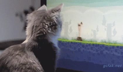 con un poco de ayuda,angry birds,videojuego,con un poquito de ayuda,cuando el toca la pantalla lo lanzo