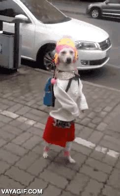 primer dia,caminar a dos patas,como una niña pequeña,de camino al cole,colegio