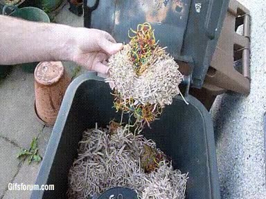 Enlace a Esto es lo que pasa cuando sierras una pelota hecha con gomas elásticas