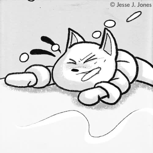 liarla,nevada,monta&ntilde;a,trepar,escalar,papel higienico,gato,lavabo