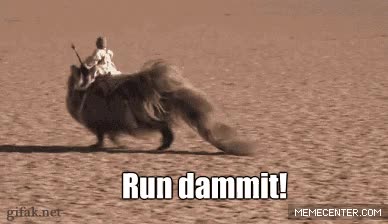 perro,disfraz,carlino,pug,bantha,star wars
