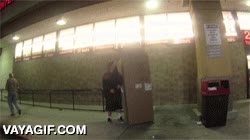 Enlace a Jamás te metas con una caja cabreada, ¡JAMÁS!