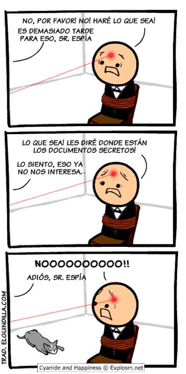 espia,frente,apuntar,puntero laser,punto rojo,gato,james bond