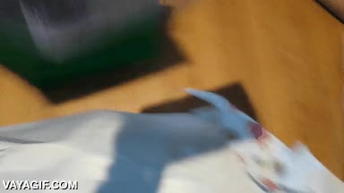 adentro de la bolsa y fuera,regalos,envolver,papel