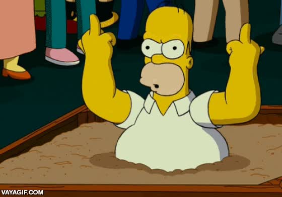 2 euros,los simpson,PP,ladrones,pensiones,SMI,homer,salario minimo interprofesional,0'25%,peinetas