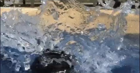 ¡Vaya GIF! / Te vienes arriba, te lanzas y automáticamente te ...