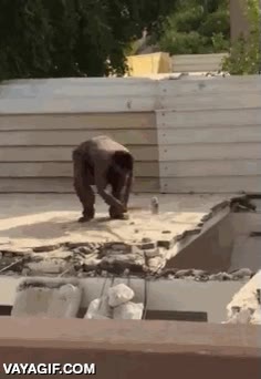 no se puede ser más tonto,empiezo a pensar que lo hacen a proposito,fail,caida,al suelo