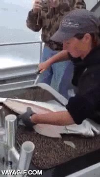 en un barco,cuchillo,cortar,parece que se mueve pero no creo que est&eacute; vivo o espero,filetear,pez,pescado