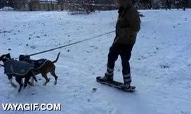 ¿Que cuesta desplazarse por la nieve? Eso es porque no tienes dos perros como estos empujar,snow,skate,perros,tirar