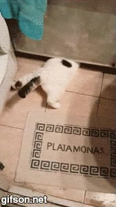 entrar,colarse,minima obertura,por debajo de la puerta,gato,salir,escapar,lavabo