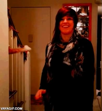 gato,escalera,chocar,high five,in da hood,del barrio