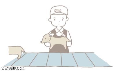 estirar,perros salchicha,Dachshund,operario