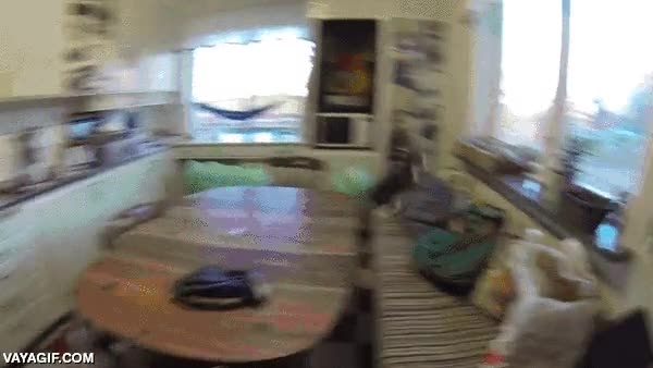 escapar,correr,enganchado,huir,gato,verdes,globos