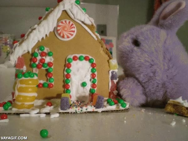 huir,legos,caballos,peluche,destructor,stop motion,conejo