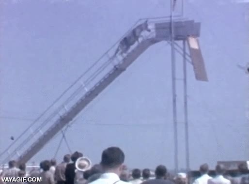 caballo,animales,no creo que lo hicieran muy por las buenas,saltar,caballos,atrocidad