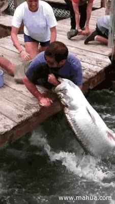 con sus manos,pez,sacar,mas manual imposible,morder,menuda fuerza