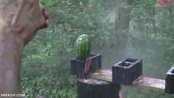 en trozos,explotar,sandia,revolver,pistola,disparar,Smith & Wesson 500,disparo