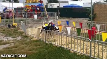 cowboys,jinetes,monos,carrera,perros