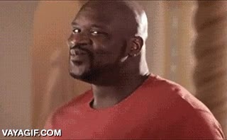 accidente,moto,gatos,shaquille o'neal,wiggle,perder el control