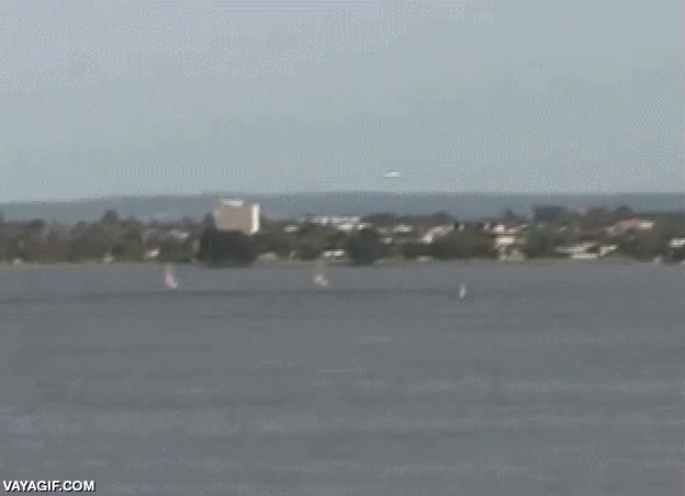 al agua,saltar,al vuelo,lanzar,rio,lancha,atrapar,frisbee,lanzamiento