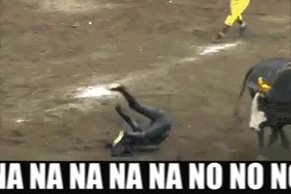 nanana nonono,torear,por encima,pertiga,saltar,toro,batman,na na na