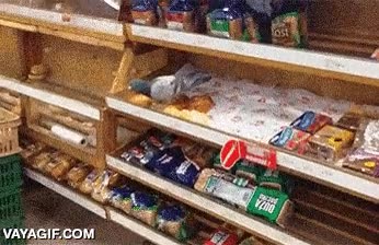 ambicion,paseandose,encima,pan,comer,supermercado,paloma,ambiciosa