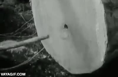 cortar,madera,tronco,estallar,explotar,dinamita,taladro