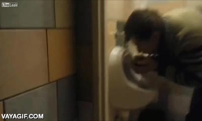 confundir con la pica,beber del retrete,maximo nivel,grifo de agua,asco maximo