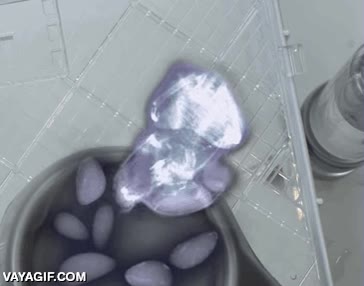 plato,hamster,mejillas,carrillos,x ray,rayos x